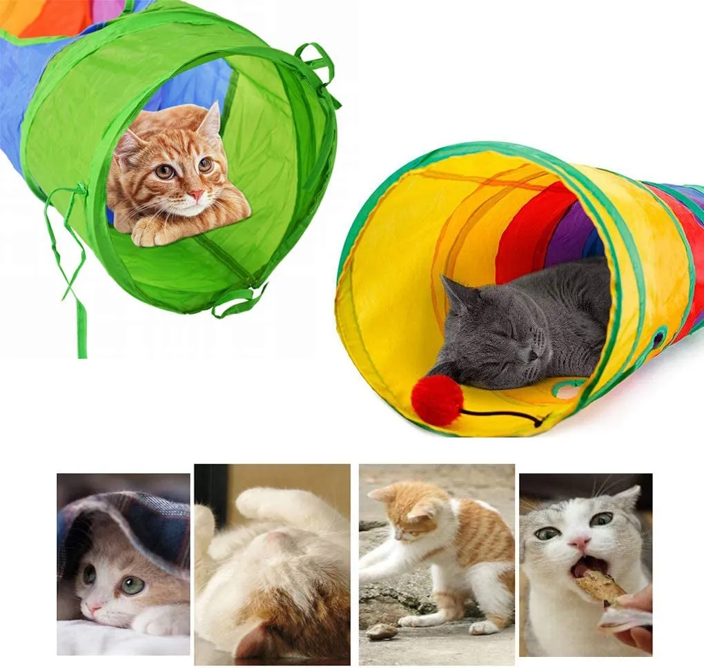 Cat Tunnel - Meet ColorPounce Tube! 🎨🐾