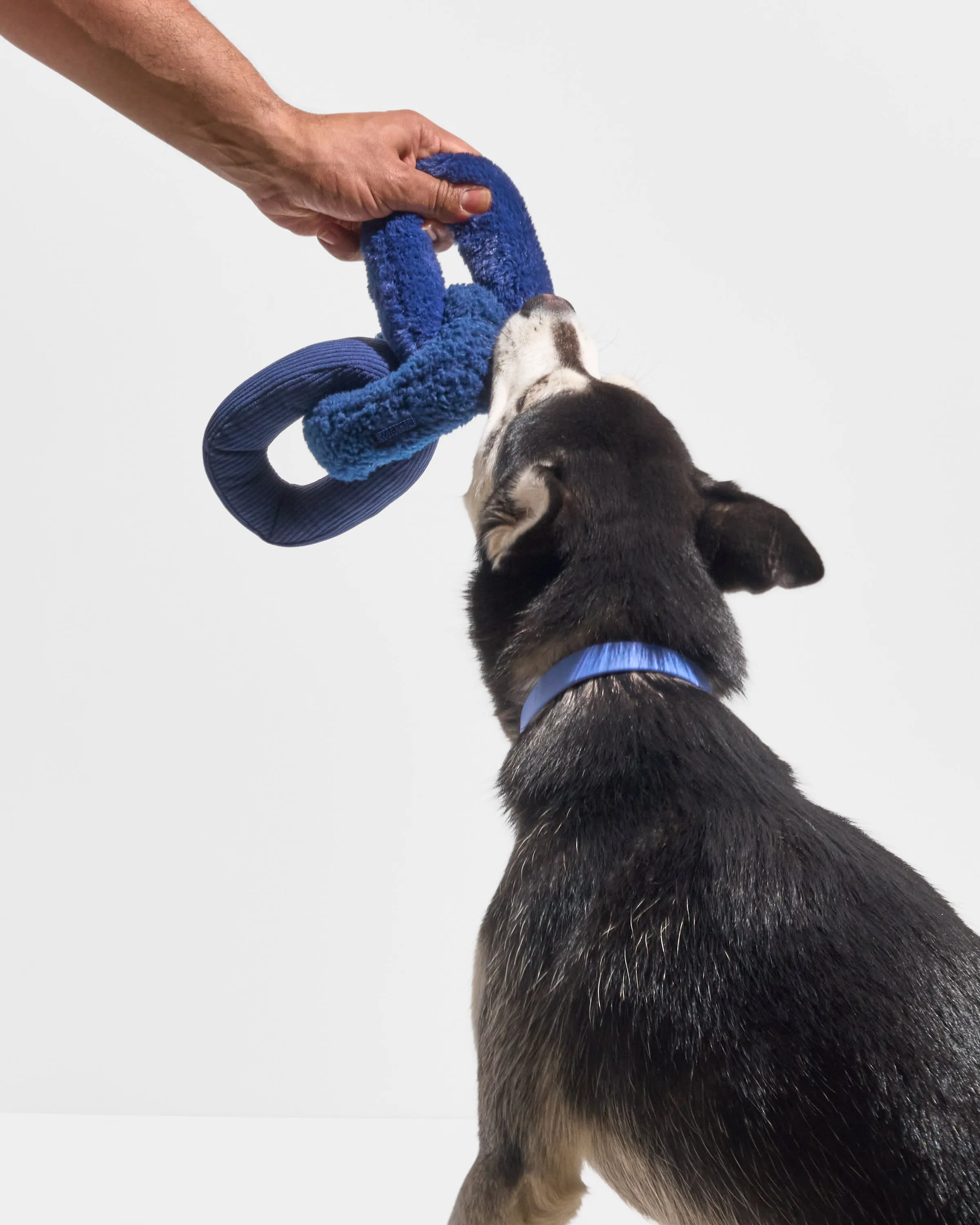 Chew Chain