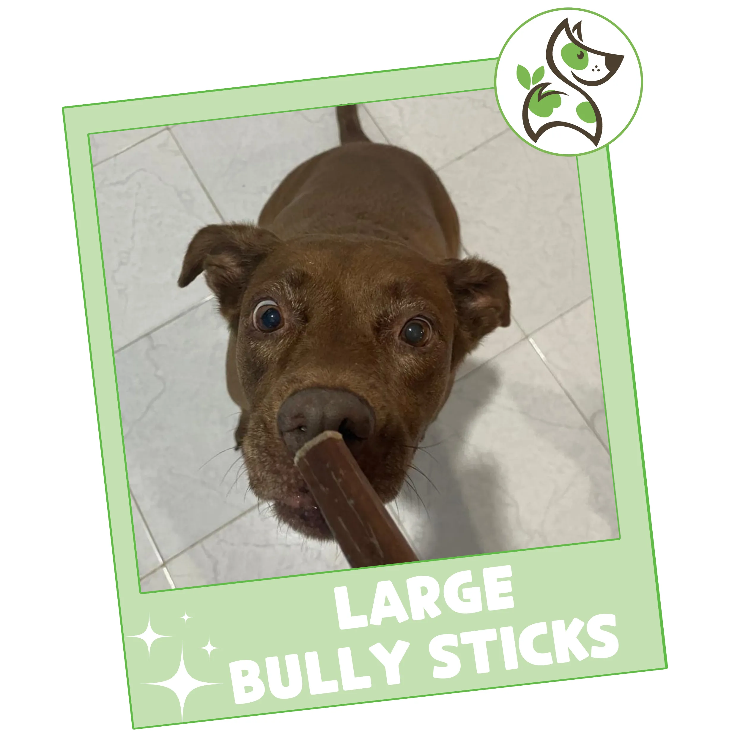 Large Bully Sticks 11-12"