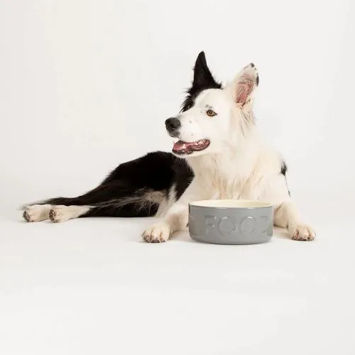 Scruffs | Classic Dog Food Bowl | Grey - 19cm